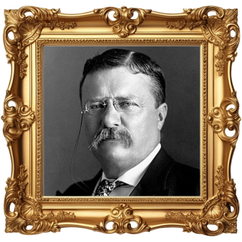 Theodore Roosevelt correspondence portrait